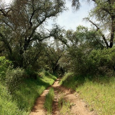 Day Trippin’: Ojai, CA