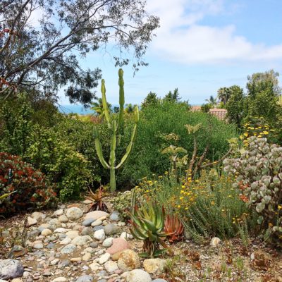 San Diego Botanic Garden